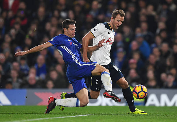 正是这种独 正是这种独